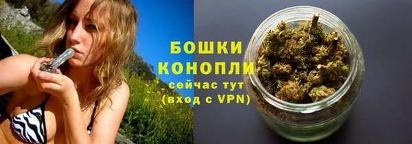 сатива Арсеньев