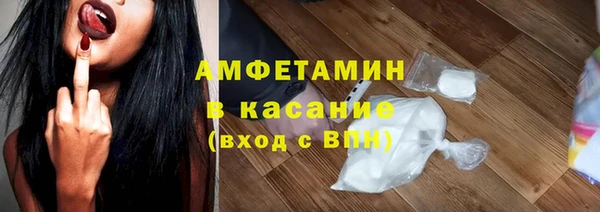 индика Аркадак