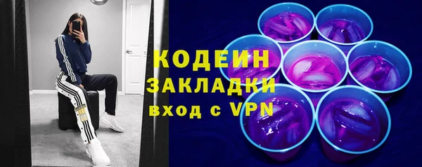 сатива Арсеньев