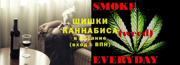 индика Аркадак