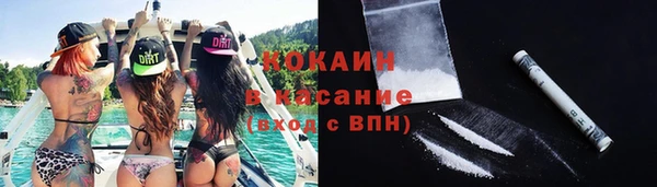 индика Аркадак