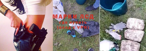 индика Аркадак