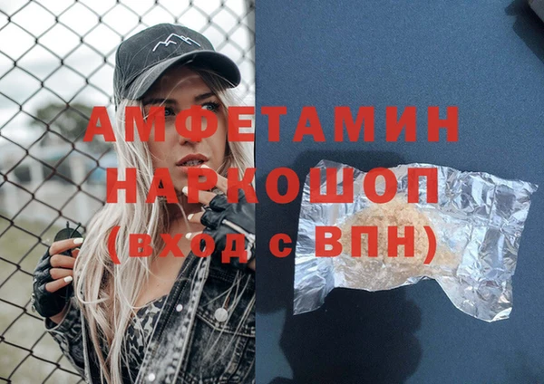 индика Аркадак