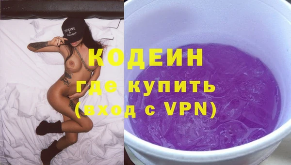 индика Аркадак